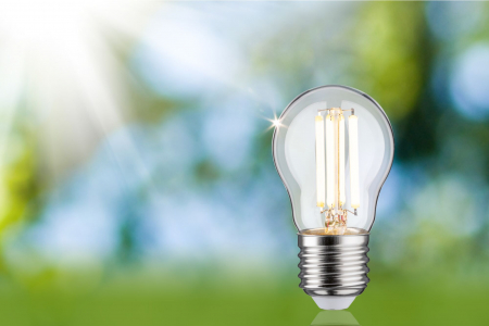 Bec sferic Eco-Line 230V, cu filament LED, 80 mm, 525lm, 2,5W, 3000K, clar [3]