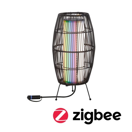 Obiecte luminoase decorative - Obiect luminos decorativ Basket Plug & Shine LED, Smart Home Zigbee, IP44, RGBW, 3,2W, negru