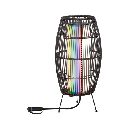 Obiect luminos decorativ Basket Plug & Shine LED, Smart Home Zigbee, IP44, RGBW, 3,2W, negru [2]