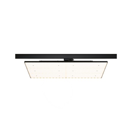 Sină trifazică - Panel LED Deck Paulmann ProRail3, 6600lm, 75W, 3000K, 230V, negru