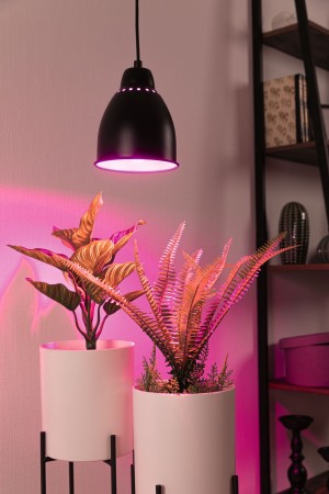 Pendul Neordic Hilla max. 1x40W, E27, negru, 230V, metal [7]