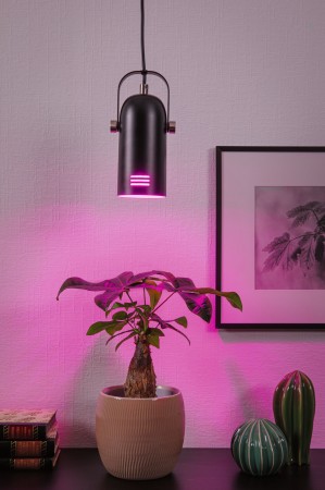 Pendul Neordic Lavea max. 1x15W, E27, negru, 230V, metal [7]