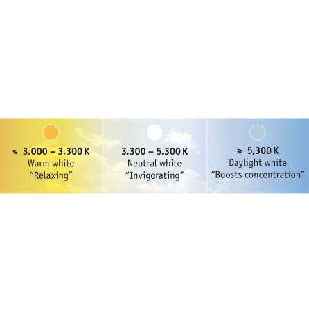 Set bandă MaxLED bază 10m Bluetooth 47W 230/24V 80VA cu temperatur- de culoare variabilă [3]