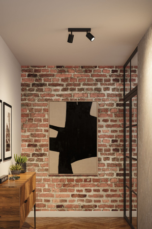 Șild Lirena, GU10, max. 2x10W, negru mat, metal [1]