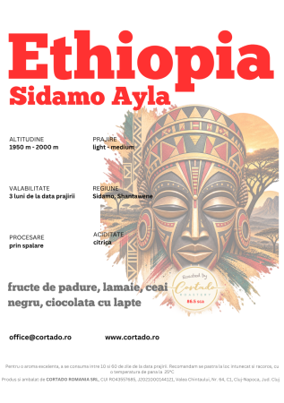 Cafea proaspat prajita - Etiopia Sidamo Ayla