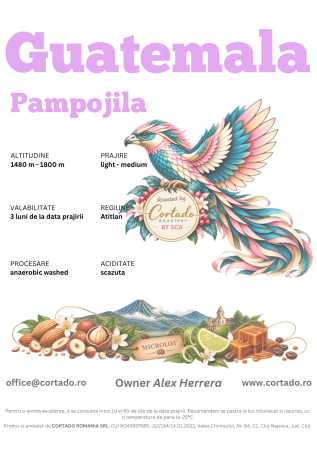Cafea proaspat prajita - Guatemala Pampojila