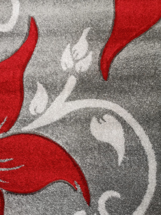 Covor Carvino, 160 x 230 Gri Deschis/Rosu Oval 1884A [4]