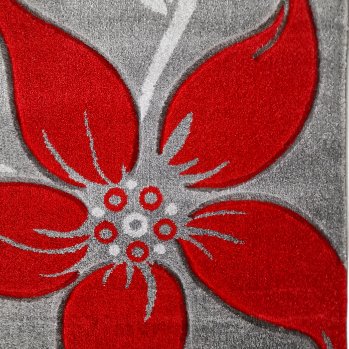Covor Carvino, 160 x 230 Gri Deschis/Rosu 1884A [4]
