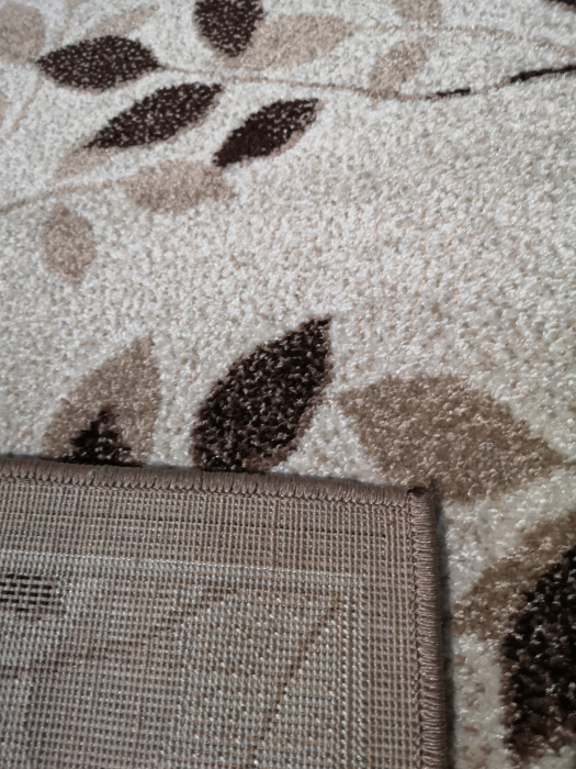 Covor Frize 80 x 150 Bej f3721/c6/es [3]