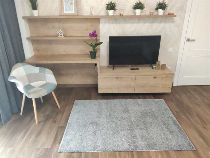 Covor Porya, 80 x 150, Gri-Argintiu Uni, [5]