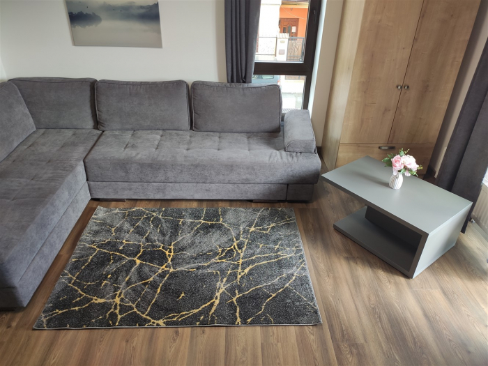 Covor Porya, 80 x 150, Gri Modern, [4]