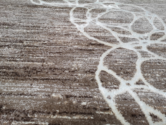 Covor SHERRY, 160 x 230, Bej/Maro Modern, [5]