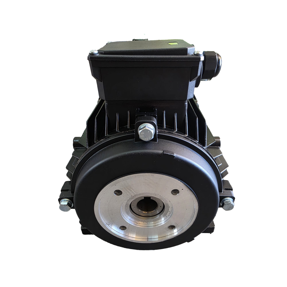 Motor Trifazic RAVEL 5.5 KW 1400 RPM pentru Pompa de Spălătorie 380V [3]