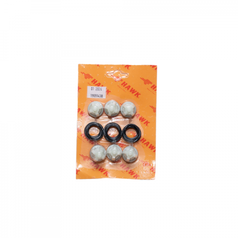 Consumabile - Set Reparatie Supape Pompa HAWK NMT Cod Produs Original 19055430
