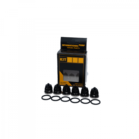 Set Reparatie Supape Negre Interpump KIT1 [1]