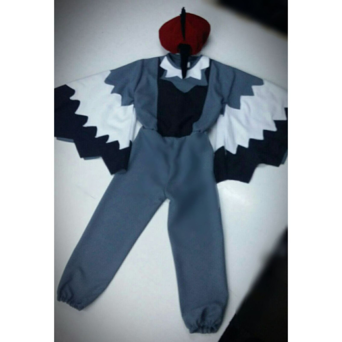 Costum Ciocanitoare - salopeta [2]