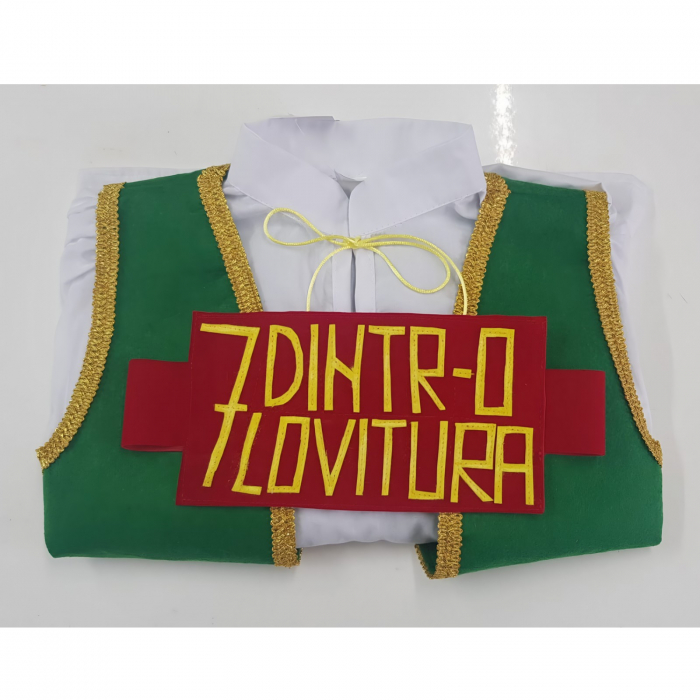 Costum Croitorasul cel viteaz - panza [3]