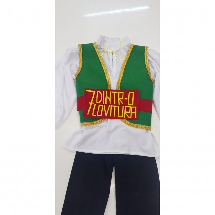 Costum Croitorasul cel viteaz - panza [2]