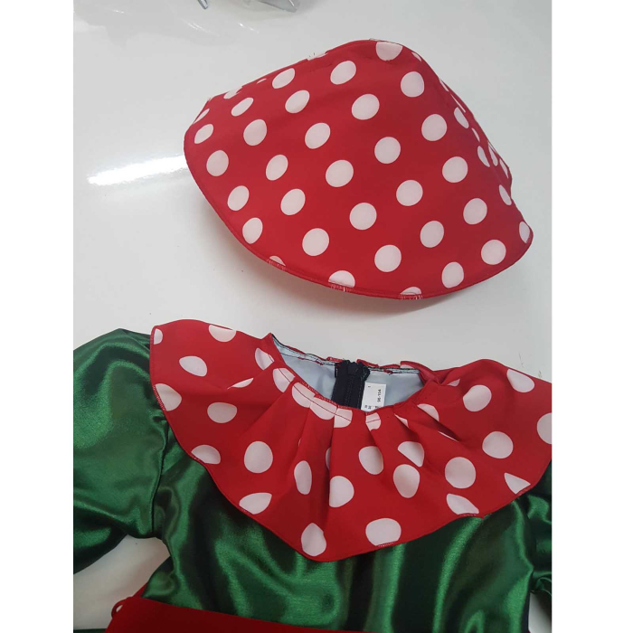Costum de ciupercuta [2]