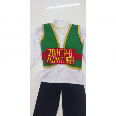 Costum Croitorasul cel viteaz - panza [1]
