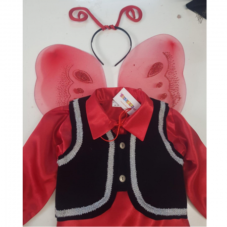 Costum de fluture catifea [1]