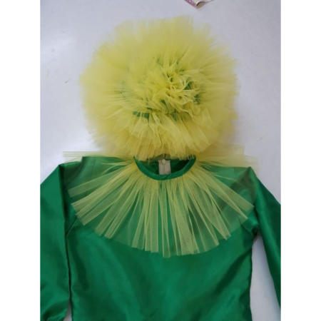 Costum de papadie-baiat [2]