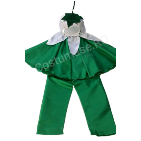 Baieti - Costum Ghiocel baiat