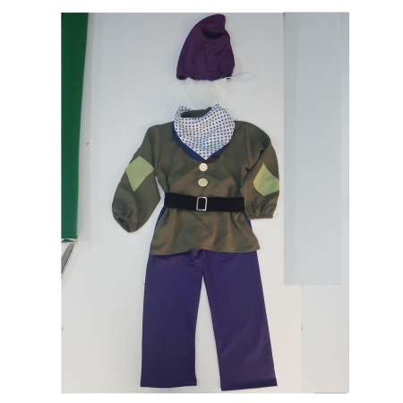 Desene animate / Povesti - Costum Pitic cu barba