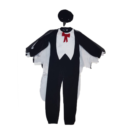 Desene animate / Povesti - Costum Randunel