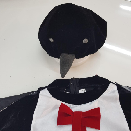 Costum Randunel [1]