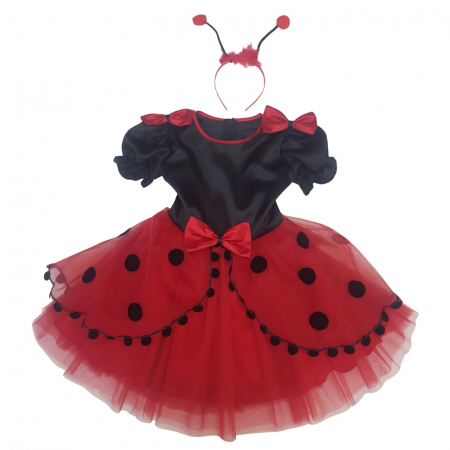 Animale / Insecte - Rochita Buburuza cu tull
