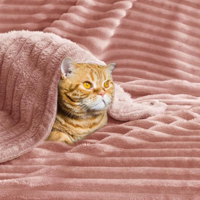 Pătură ambrosiana Special Edition NORDKAPP [2]