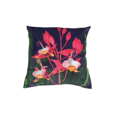 Living - Set 2 Pernuțe Decorative 45x45