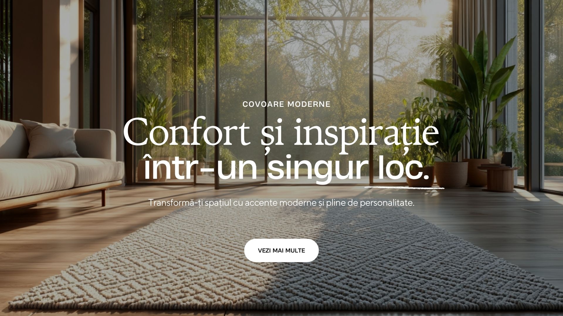 Covoare moderne NEW