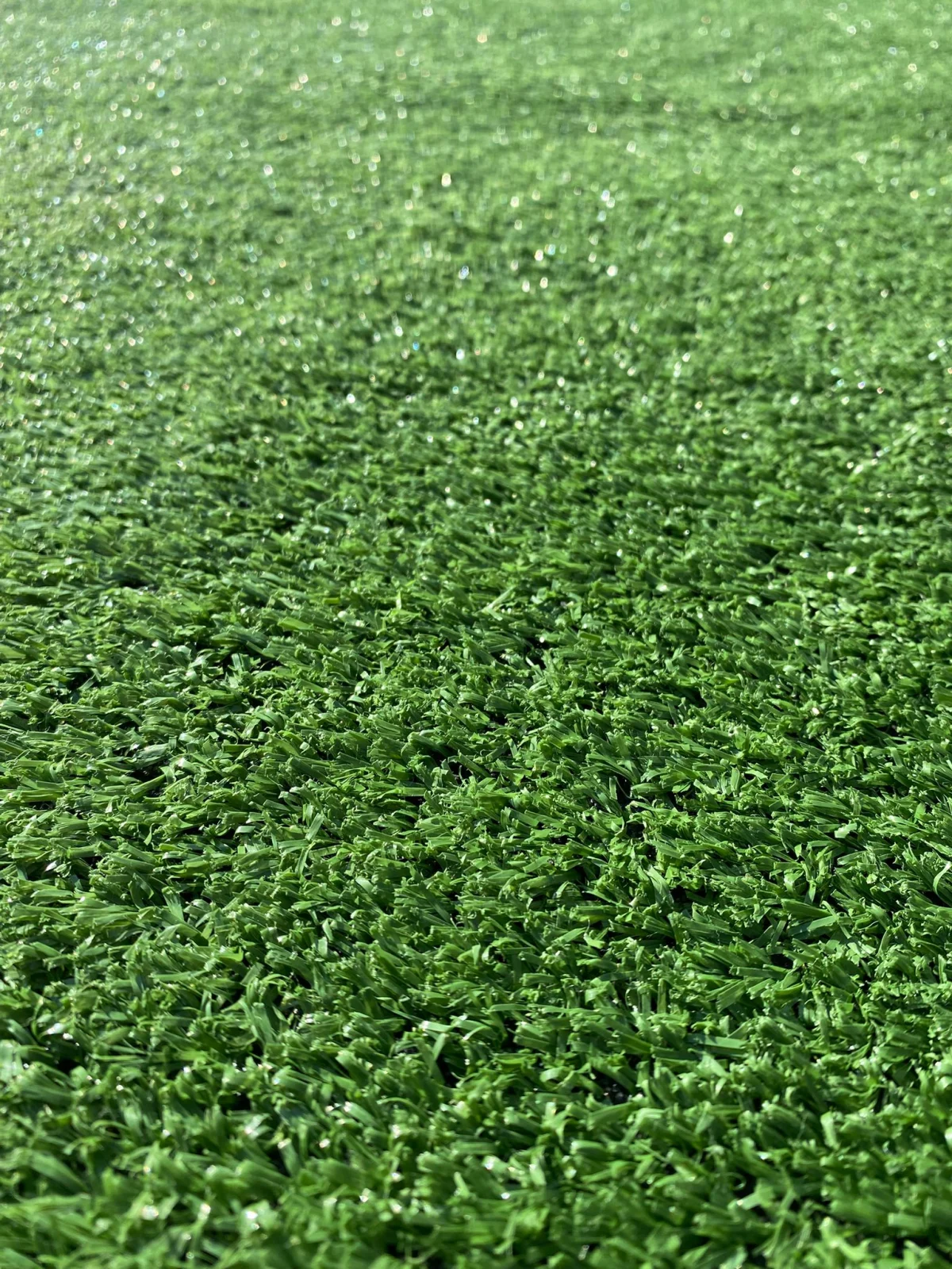 Gazon Artificial, Lungime Fir 10 mm, Verde, Imitatie Gazon Natural, Antialergic, Polipropilena, Curte, Terasa, Balcon, Piscina, Loc de Joaca, Gradinita [8]