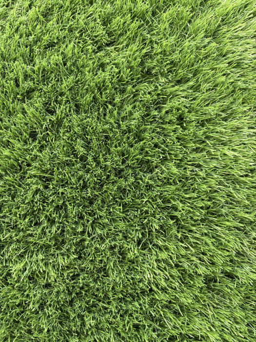 Gazon artificial Sri Lanka 40mm fire carliontate verzi C-Shape rezistent UV gradina terasa [12]