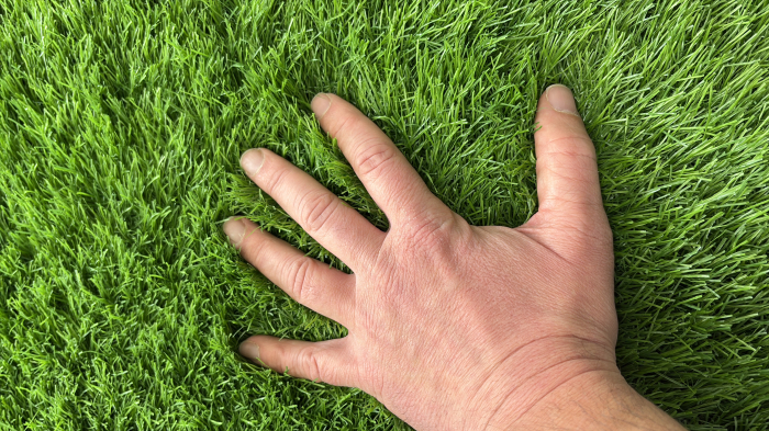 Gazon artificial Sri Lanka 40mm fire carliontate verzi C-Shape rezistent UV gradina terasa [3]