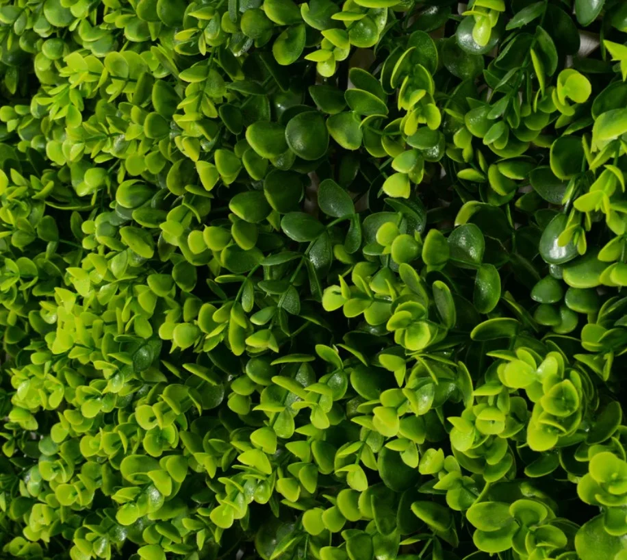 PANOU DECORATIV PLANTE ARTIFICIALE 50 X 50 cm Model BELLIN A019 [3]