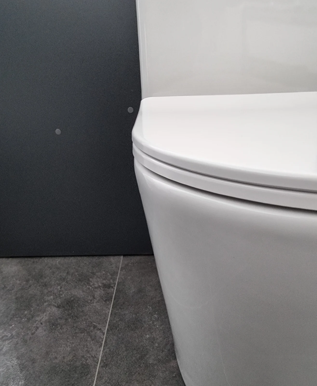Set Vas WC Pe Pardoseala, Model LX-2904, Fara Rama, Rimless, Rezervor Apa, Iesire Orizontala P-Trap, Dimensiuni 610 x 360 x 850 mm, Alb, Ceramica, Capac cu Inchidere Lenta si Suprafata Antibacteriana [4]