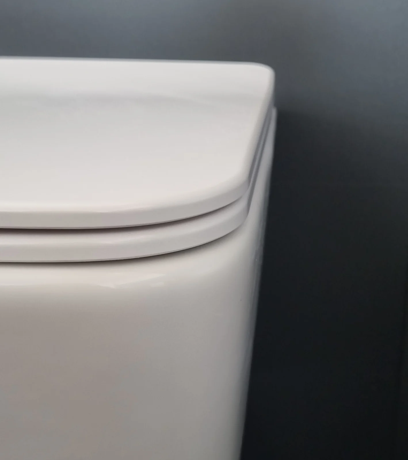 Set Vas WC Suspendat, Model LX-1907, Fara Rama, Rimless, Iesire Orizontala P-Trap, Dimensiuni 525 x 360 x 320 mm, Alb, Ceramica, Capac cu Inchidere Lenta si Suprafata Antibacteriana [6]