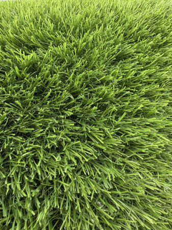 Gazon artificial Sri Lanka 30mm fire carliontate verzi C-Shape rezistent UV gradina terasa [10]