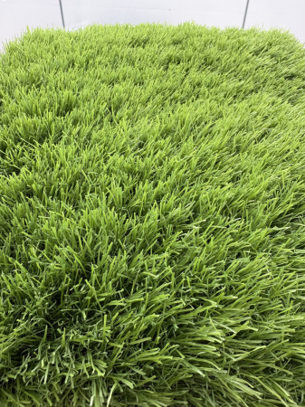 Gazon artificial Sri Lanka 40mm fire carliontate verzi C-Shape rezistent UV gradina terasa [6]