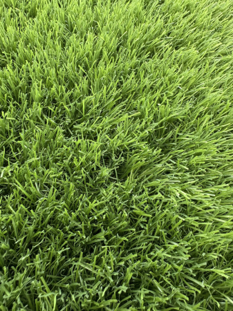 Gazon artificial Sri Lanka 40mm fire carliontate verzi C-Shape rezistent UV gradina terasa [10]