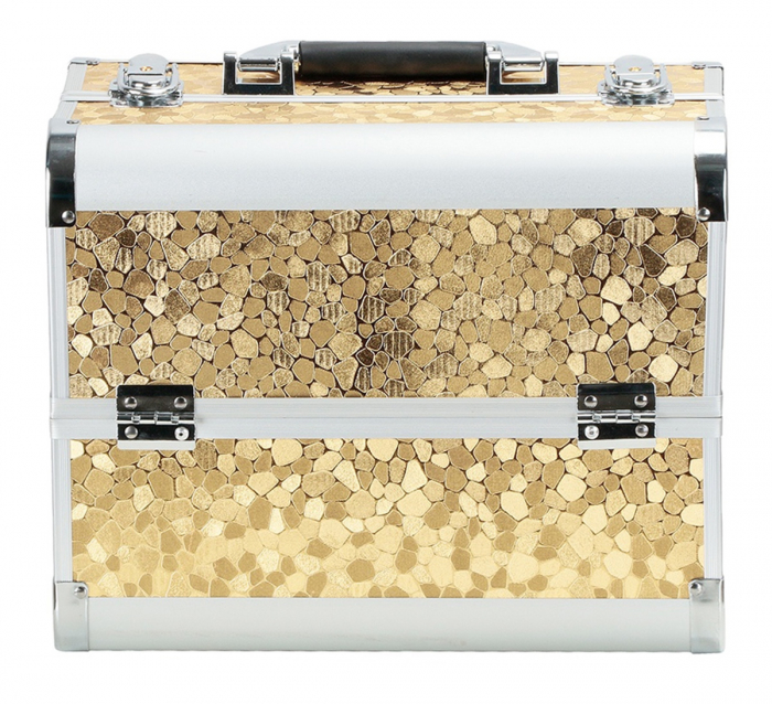 Geanta profesionala pentru cosmetice sau depozitare, Tecos®, auriu cu insertii de aluminiu, dimensiuni 30, 5x20, 5x25cm, 1 compartiment principal si 4 secundare, ideala pentru calatorii sau activitati [2]