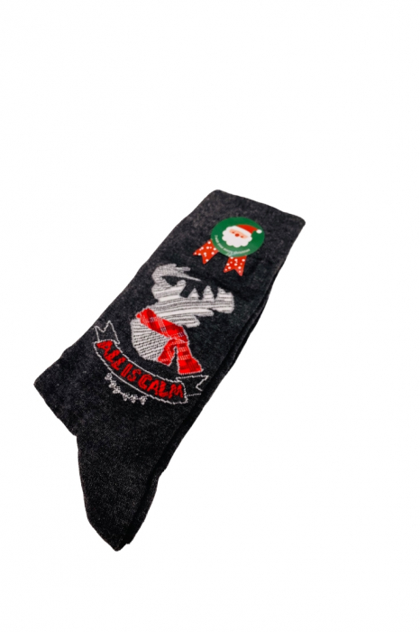 Set 2 Perechi Sosete cu Model de Craciun, gri și roșu, marime 41-44, 2 perechi [3]