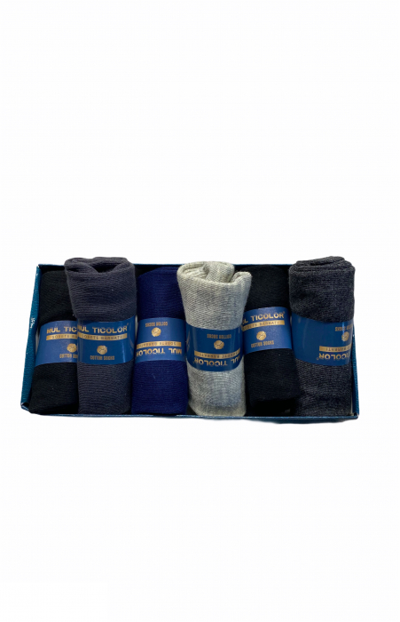 Set cadou 6 perechi sosete pentru barbati, marimi 44-46, culori diferite [4]