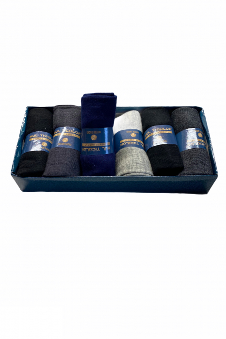 Set cadou 6 perechi sosete pentru barbati, marimi 44-46, culori diferite [3]