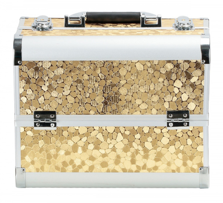 Geanta profesionala pentru cosmetice sau depozitare, Tecos®, auriu cu insertii de aluminiu, dimensiuni 30, 5x20, 5x25cm, 1 compartiment principal si 4 secundare, ideala pentru calatorii sau activitati [1]