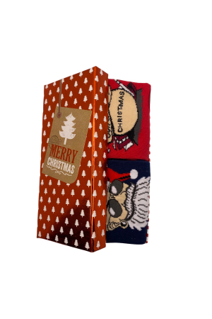 Set 2 Perechi Sosete Multicolore cu Model de Craciun, marime 41-44, 2 modele [1]