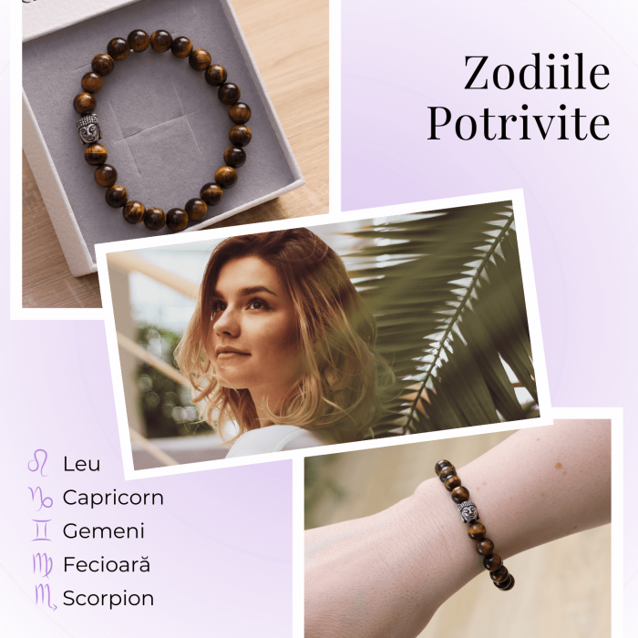 Bratara Elastica cu Margele 6mm din Pietre Semipretioase Ochi de Tigru, Tucurasi si Pandativ [6]